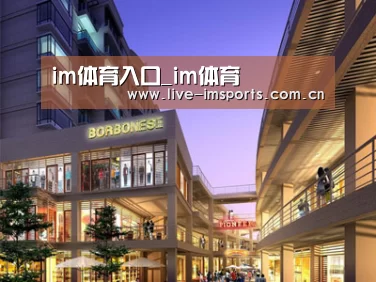 案例展示一(图1)