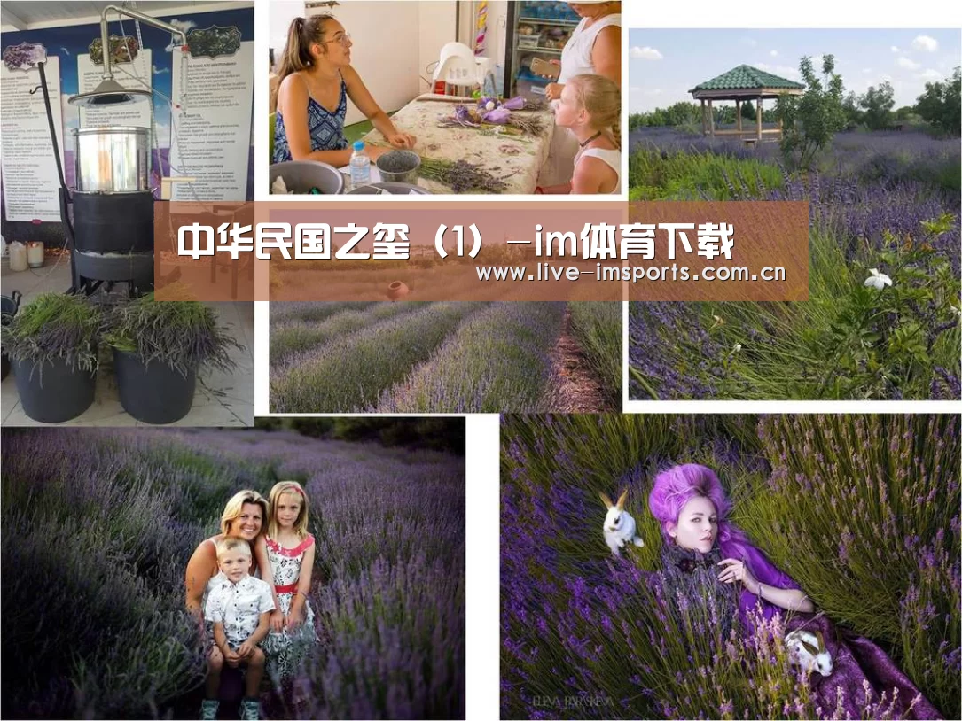 im体育下载