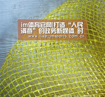 im体育下载