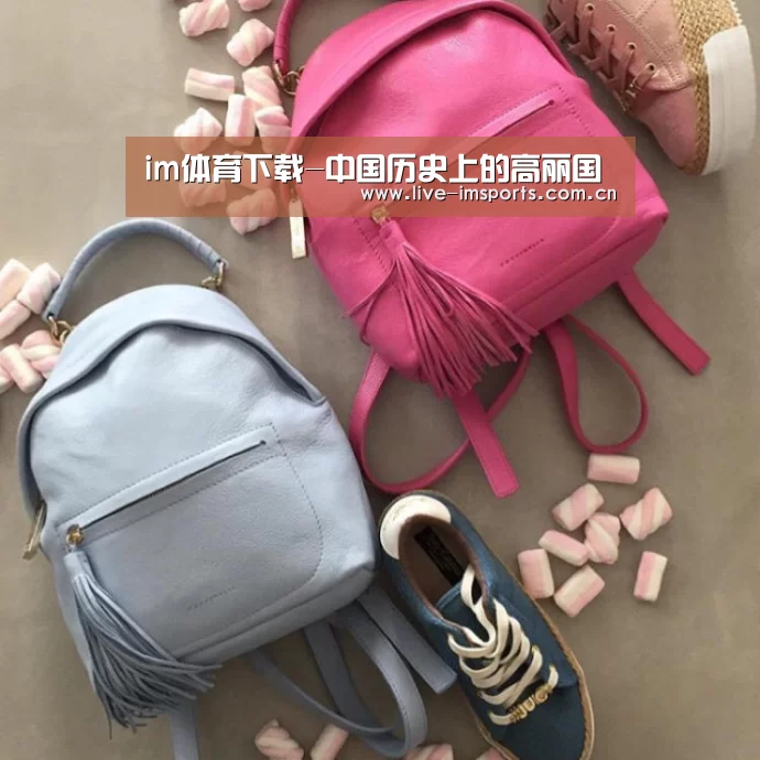 im体育下载-中国历史上的高丽国(图3) im体育下载