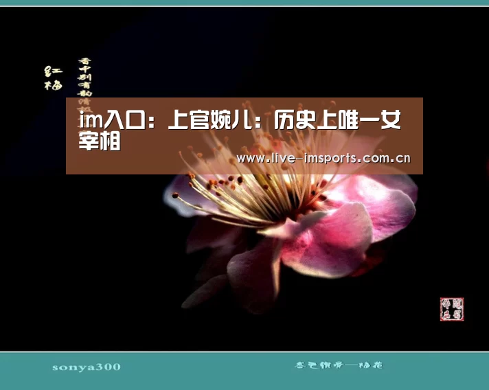 im体育投注