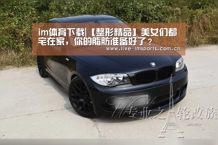 im体育下载