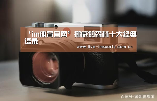 im体育投注
