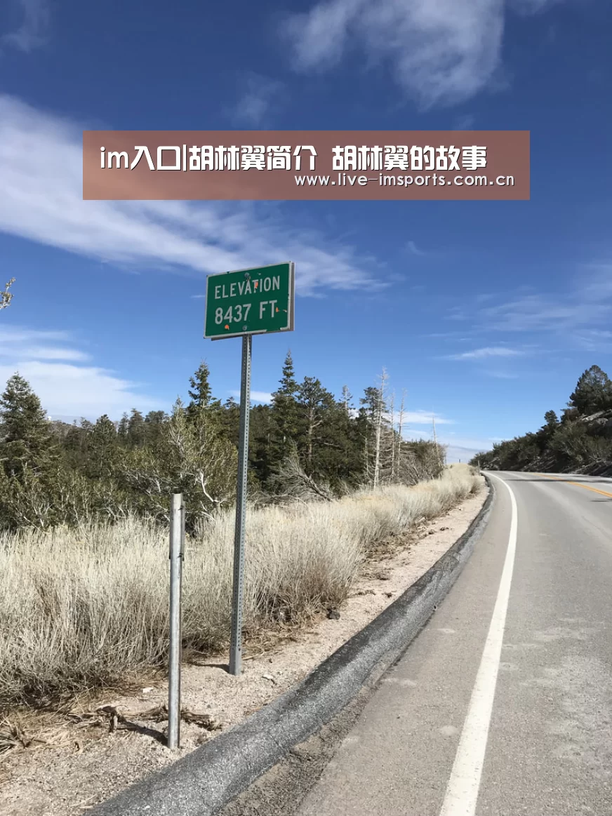 im体育下载